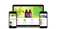 APP與小程序，為什么2018公司更偏愛小程序開發